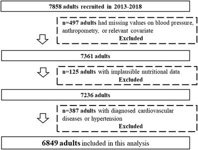 Association between the prudent dietary pattern and blood pressure in Chinese adults is partially mediated by body composition